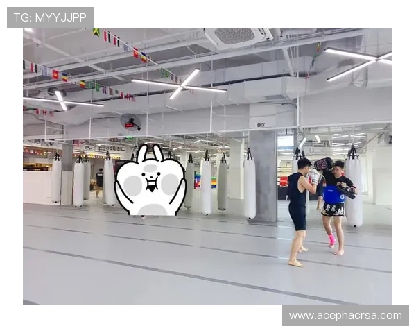 掌握M8体育全站登录流程提升账号管理效率与个人偏好设置技巧