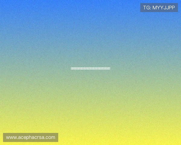 风云体育中文站助你掌握全球体育动态与专业赛事分析报告